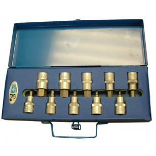 1/2" SD Metric Inserted Hex Bit Socket Set 4-19mm (In Box and Foam) - 10 Piece