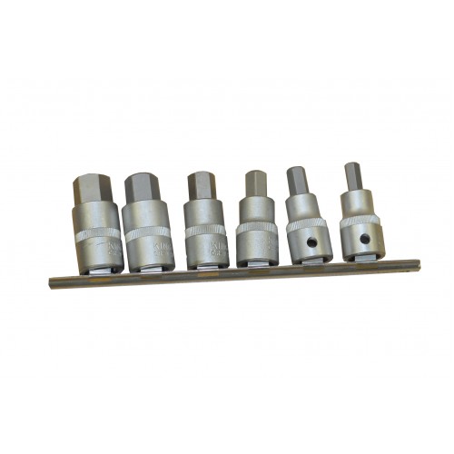1/2" SD Metric Inserted Hex Bit Socket Set 8-19mm (On Rail) - 6 Piece